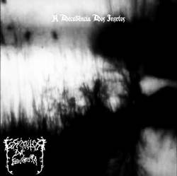 Espiritos Da Floresta : A Decadencia Dos Insetos